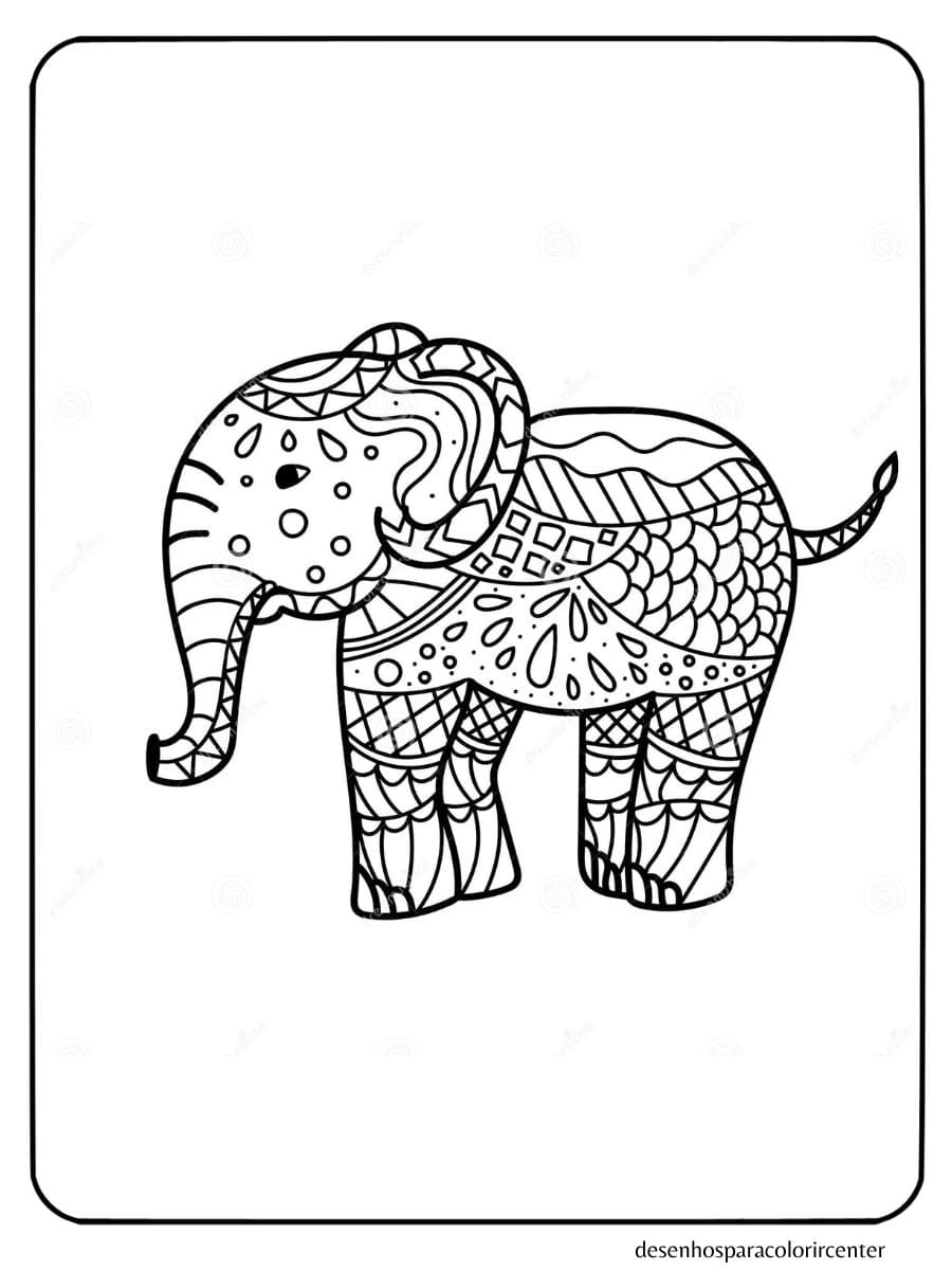 elefante para colorir com padrões detalhados no corpo