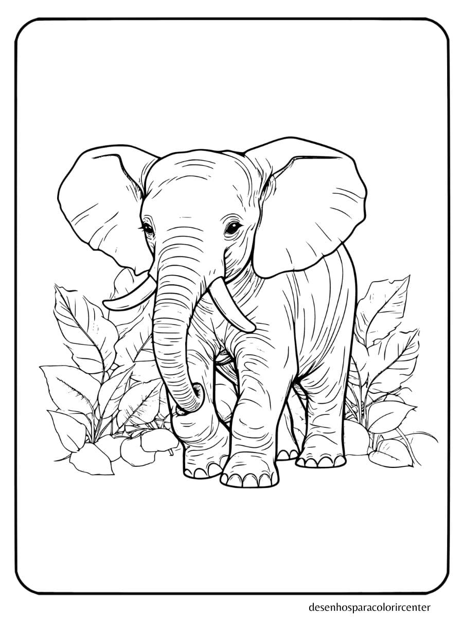 elefante para colorir em um cenário natural com folhas ao fundo