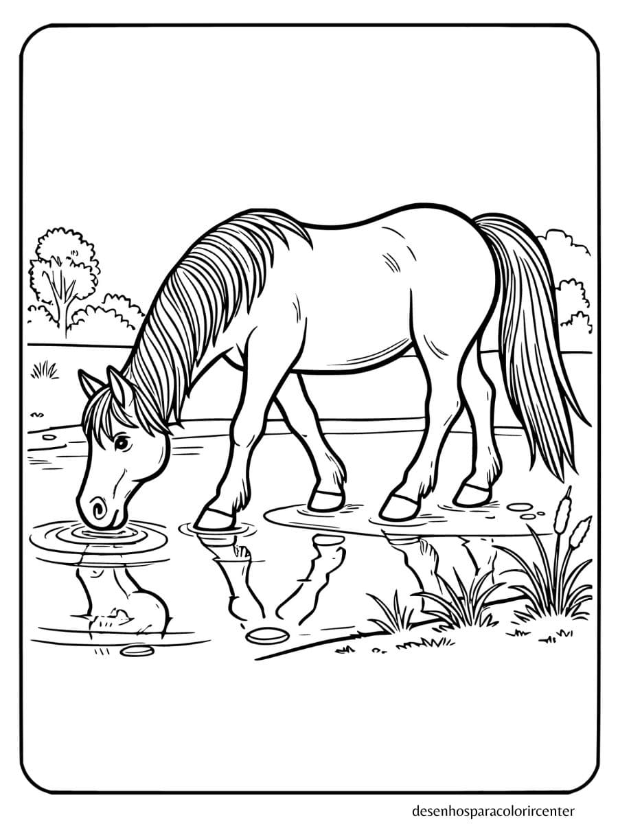 cavalo bebendo água de um lago para colorir