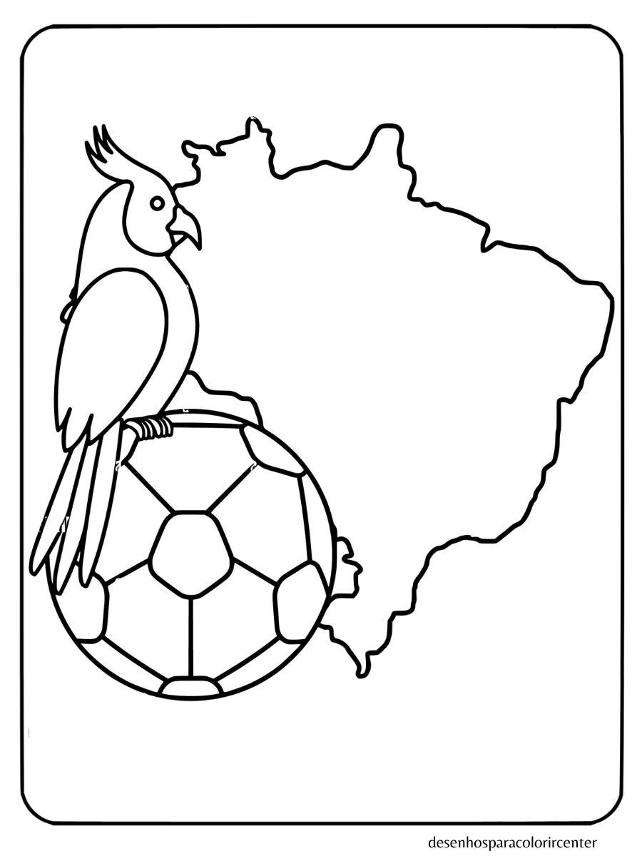 mapa do brasil para colorir com papagaio e bola de futebol