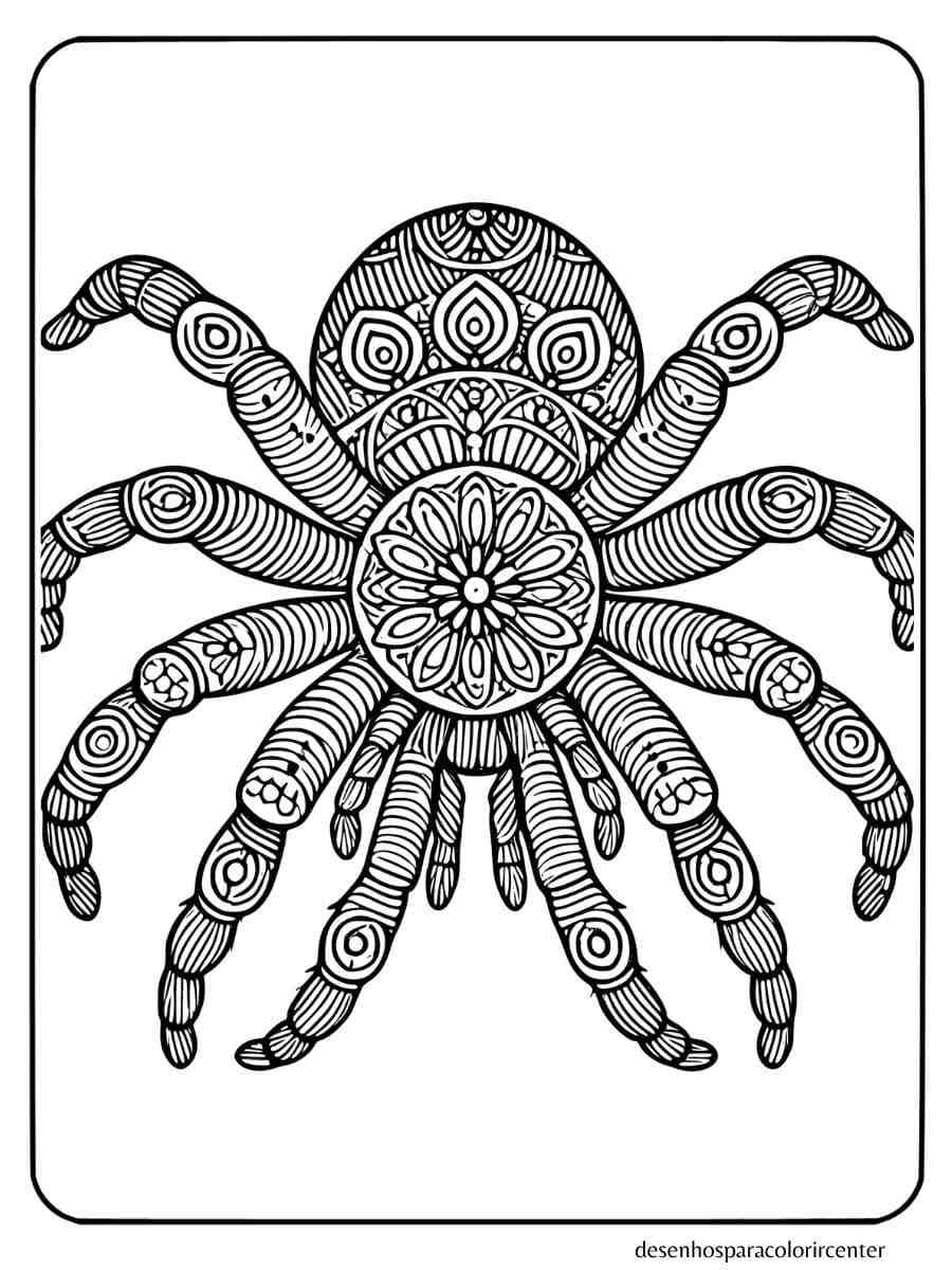 Aranha Mandala para colorir